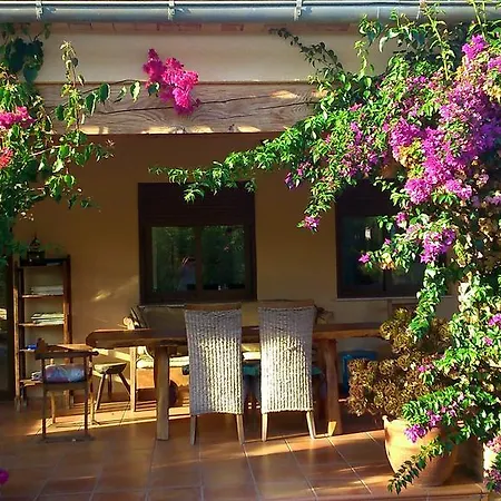 Finca El Corral Lliber Quarto foto